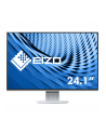 EIZO 24,1 L EV2456-WT - nr 25