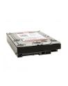 Dysk HDD Western Digital RED 3 5  1TB SATA III 64MB 5400obr/min WD10EFRX - nr 42