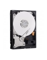 HDD WD BLUE 500GB 3 5  WD5000AZLX SATA III 32MB CAC - nr 18