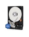 HDD WD BLUE 500GB 3 5  WD5000AZLX SATA III 32MB CAC - nr 19