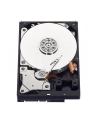 HDD WD BLUE 500GB 3 5  WD5000AZLX SATA III 32MB CAC - nr 25
