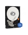 HDD WD BLUE 500GB 3 5  WD5000AZLX SATA III 32MB CAC - nr 26