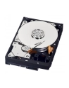HDD WD BLUE 500GB 3 5  WD5000AZLX SATA III 32MB CAC - nr 27
