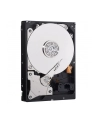 HDD WD BLUE 500GB 3 5  WD5000AZLX SATA III 32MB CAC - nr 28