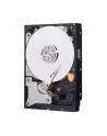 HDD WD BLUE 500GB 3 5  WD5000AZLX SATA III 32MB CAC - nr 38