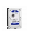 HDD WD BLUE 500GB 3 5  WD5000AZLX SATA III 32MB CAC - nr 39