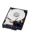 HDD WD BLUE 500GB 3 5  WD5000AZLX SATA III 32MB CAC - nr 44