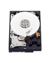 HDD WD BLUE 500GB 3 5  WD5000AZLX SATA III 32MB CAC - nr 47