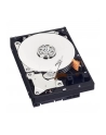 HDD WD BLUE 500GB 3 5  WD5000AZLX SATA III 32MB CAC - nr 56