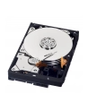 HDD WD BLUE 500GB 3 5  WD5000AZLX SATA III 32MB CAC - nr 57