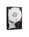 HDD WD BLUE 500GB 3 5  WD5000AZLX SATA III 32MB CAC - nr 58