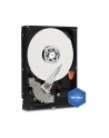 HDD WD BLUE 500GB 3 5  WD5000AZLX SATA III 32MB CAC - nr 62