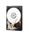 HDD WD BLUE 500GB 3 5  WD5000AZLX SATA III 32MB CAC - nr 66