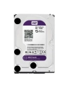 Dysk HDD Western Digital PURPLE 3 5  6TB SATA III 64MB 5400obr/min WD60PURX - nr 30