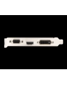 MSI GF GT 710 2048MB DDR3/64b V/H/D PCI-E LP - nr 2