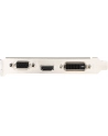 MSI GF GT 710 2048MB DDR3/64b V/H/D PCI-E LP - nr 32