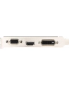 MSI GF GT 710 2048MB DDR3/64b V/H/D PCI-E LP - nr 53