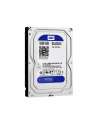 HDD WD BLUE 500GB 3 5  WD5000AZLX SATA III 32MB CAC - nr 68