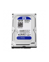 HDD WD BLUE 500GB 3 5  WD5000AZLX SATA III 32MB CAC - nr 69