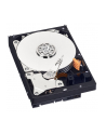 HDD WD BLUE 500GB 3 5  WD5000AZLX SATA III 32MB CAC - nr 70