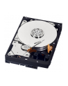 HDD WD BLUE 500GB 3 5  WD5000AZLX SATA III 32MB CAC - nr 73