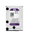 Dysk HDD Western Digital PURPLE 3 5  6TB SATA III 64MB 5400obr/min WD60PURX - nr 8