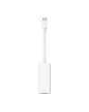Apple Thunderbolt 3 (USB-C) to Thunderbolt 2 Adapter - nr 26