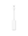 Apple Thunderbolt 3 (USB-C) to Thunderbolt 2 Adapter - nr 27