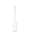 Apple Thunderbolt 3 (USB-C) to Thunderbolt 2 Adapter - nr 29