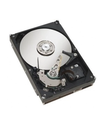 Fujitsu HDD SATA III 2000GB 7.2k nr 1