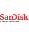 SANDISK EXTREME PRO microSDHC 32GB 100/90 MB/s A1 C10 V30 UHS-I U3 - nr 62