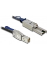 Delock kabel Mini SAS HD SFF-8644 > Mini SAS SFF-8088 1m - nr 12