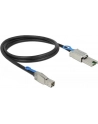 Delock kabel Mini SAS HD SFF-8644 > Mini SAS SFF-8088 1m - nr 13