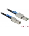 Delock kabel Mini SAS HD SFF-8644 > Mini SAS SFF-8088 1m - nr 15