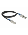 Delock kabel Mini SAS HD SFF-8644 > Mini SAS SFF-8088 1m - nr 1