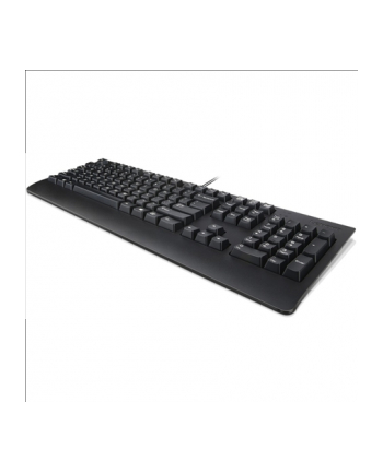Lenovo Preferred Pro II USB Keyboard-Black Arabic U.S. EURO successor 73P5220