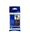 Taśma Brother 12mm Gold/Navy-blue ribbon - nr 8