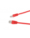 Patch cord UTP kat. 6 1 m czerwony Gembird - nr 2