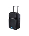 System Audio Blaupunkt PA12 BT|MP3|RADIO|USB|SD|KARAOKE|MIKROFON|PILOT|AUX|650W - nr 16