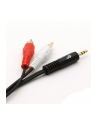 TB Kabel 3,5mm MiniJack - 2x RCA M/M (chinch) 2,5m - nr 2