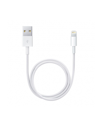 Apple Lightning - USB Cable - white - 0.5m - ME291ZM/A