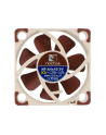 Noctua NF-A4x10 5V - 40mm - nr 44