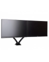 IIYAMA UCHWYT DS3002C-B1 2 EKRANY, PIVOT - nr 63