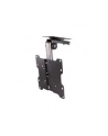 NewStar FPMA-C020BLACK SUFITOWY UCHWYT DO MONITORA, 26,5-40CM - nr 28