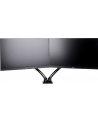 IIYAMA UCHWYT DS3002C-B1 2 EKRANY, PIVOT - nr 20