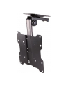 NewStar FPMA-C020BLACK SUFITOWY UCHWYT DO MONITORA, 26,5-40CM - nr 31