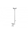 NewStar Uchwyt Sufitowy FPMA-C050SILVER - nr 34