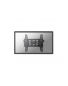 NewStar Ścienny Uchwyt do Monitora LED-W220 - nr 12