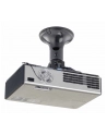 NewStar Uchwyt Sufitowy do Projektora BEAMER-C50 - nr 20