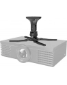 NewStar Uchwyt Sufitowy do Projektora BEAMER-C50 - nr 34
